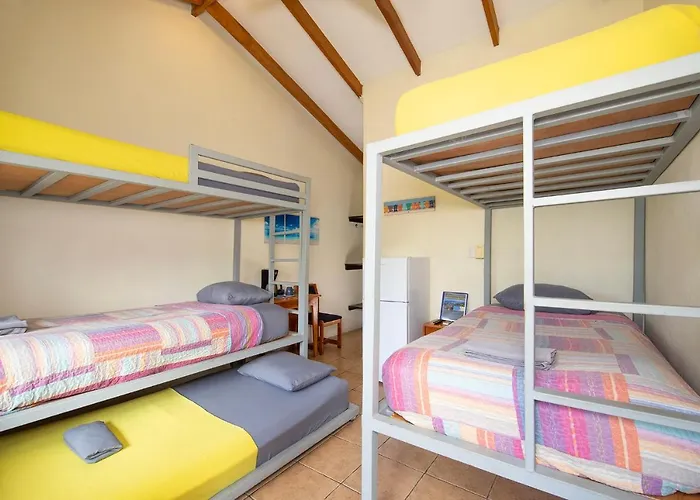 Hotel Diversion Tropical