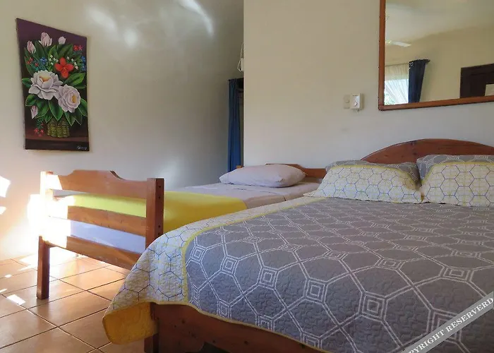 Hotel Diversion Tropical