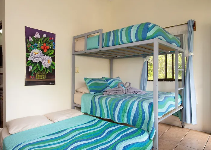 Diversion Tropical Hotel 2*
